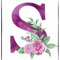sunita 🧡🤍💚 (@sunita747) 's Twitter Profile