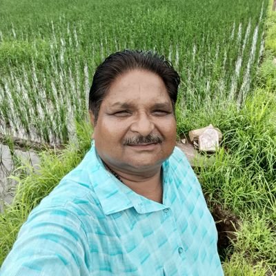 प्रदेश सह संयोजक,विभाग भाजपा राजस्थान
मंत्री भाजपा कोटा