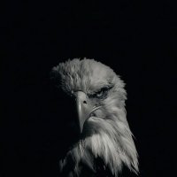 ABO_MASHRY (@7788c0) 's Twitter Profile