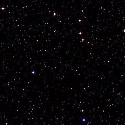 superflopero's profile picture. 