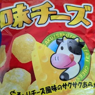 倒置法味チーズ めっちゃ色々カードゲームやってます 多趣味さん ロボットと仮面ライダーと少年誌が好きです