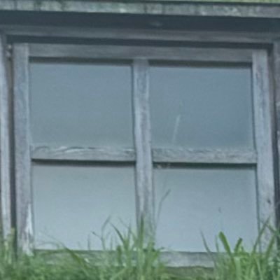 alma_3387's profile picture. 無言