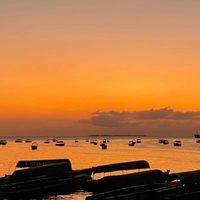 39Els's profile picture. 🇮🇹🐍🍉