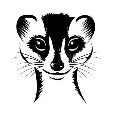 cyb3rmeerk4t's profile picture.