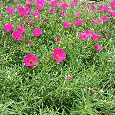 buddhapg85's profile picture. MA (history),m.ed,uptet, super tet qualified.

architect
 
stock market. LTPians

TIT FOR TAT।  

I LOVE  🇮🇳