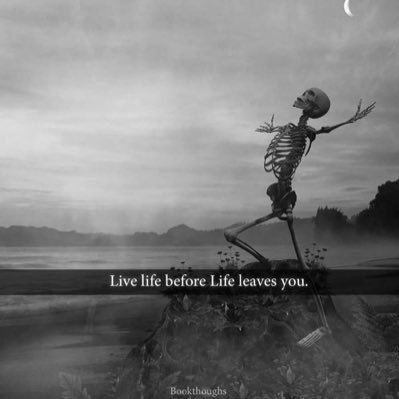 Memelord2078102's profile picture. 