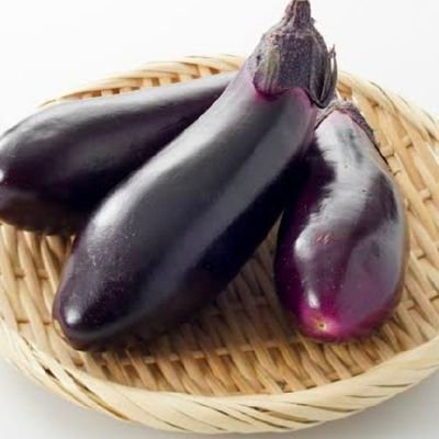 mukiryoku_nasu's profile picture. しおしおなすび。
dbd。猫。