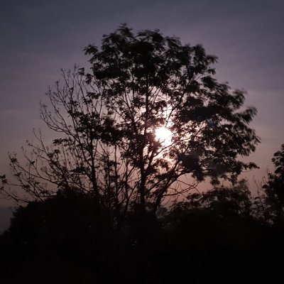 tybairius74's profile picture. 