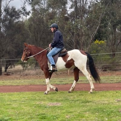 mjbetts10's profile picture. 🐎🇦🇺