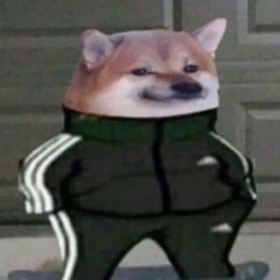 rodooov's profile picture. I analyze the world just to distract me from myself.