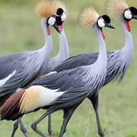 Uganda's Finest🇺🇬👄💝🥰 (@ugazfinest) 's Twitter Profile Photo Uganda's Finest🇺🇬👄💝🥰 (@ugazfinest) 's Twitter Profile Photo
