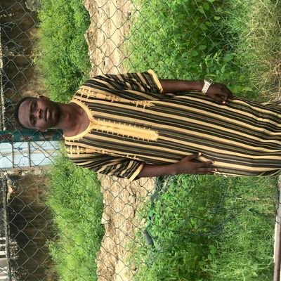 Tolaniali2002's profile picture. A certified gambler