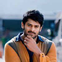 🅿rasad ❣ (@fan__of__pb) 's Twitter Profile
