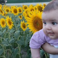 Hamdi (@hamdisaglam06) Twitter profile photo