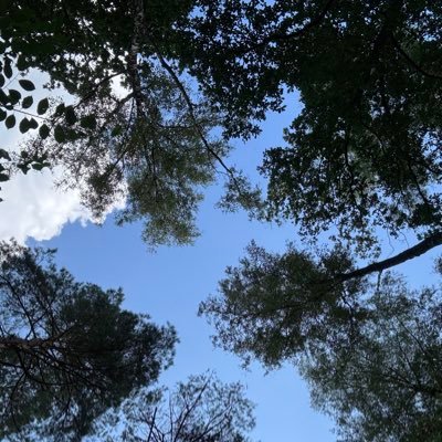 danyolka's profile picture. слънчев лъч forever