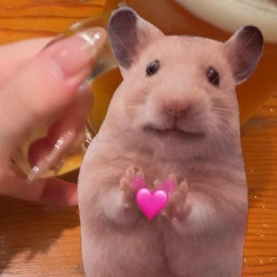 KxqgmIWhH9Wf24z's profile picture. 