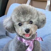 エマです! (@emmarinko) 's Twitter Profile Photo エマです! (@emmarinko) 's Twitter Profile Photo