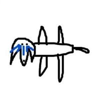 なかのさんのなか (@nakanosan_desu) 's Twitter Profile Photo