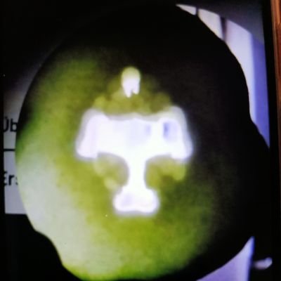 LionaNicolas's profile picture. semplice homo sapiens
