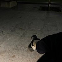 D G (@debbieferminmd) 's Twitter Profile