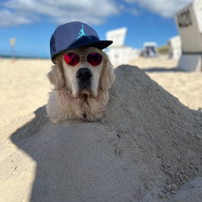 KryptoKnib's profile picture. 