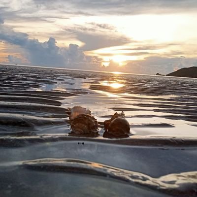 oBkhXlBTFVA10D1's profile picture. 