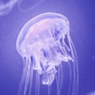 朽木さんのプロフィール画像