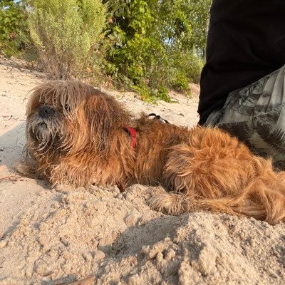 canadiana5000's profile picture. 