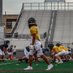 Xavier Dejesus (@xavierdejesus_1) Twitter profile photo Xavier Dejesus (@xavierdejesus_1) Twitter profile photo