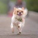 sctq123's profile picture. 