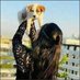 Keettores (@keettoresu1h__) Twitter profile photo Keettores (@keettoresu1h__) Twitter profile photo