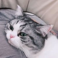 YaSudahlah (@yasudahl4h) 's Twitter Profile
