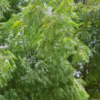 Hardik Gandhi (@hn_gandhi) 's Twitter Profile Photo