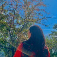 Lilypartei (@lilyyy_97) 's Twitter Profile