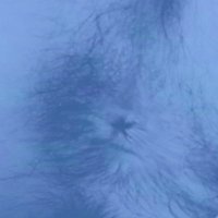 mt* (@mana_teeeee) 's Twitter Profile