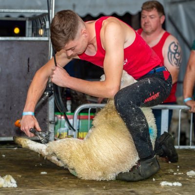 Gelligaer & District Sheep Shearing Society