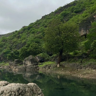 ZaydYd37217's profile picture. 