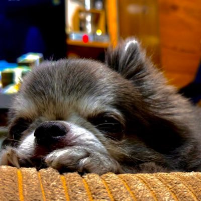 ten13423759's profile picture. BE:FIRSTが好きリュウヘイが好き。彼の歌ダンスその才能に惚れてますが、顔もスタイルも声も思考もセンスも雰囲気も色の白さも全部大好き。 🐕🐈‍⬛も好きです♡