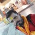 DEEPAK KUMAR (@deepakk68912549) Twitter profile photo DEEPAK KUMAR (@deepakk68912549) Twitter profile photo