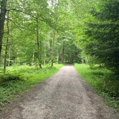 MD, General Practicioner, Loves Nature, Sciene and conversations with smart people - if you can be anything be kind
