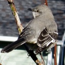 Donna Stewart - @DonaMayS - Twitter