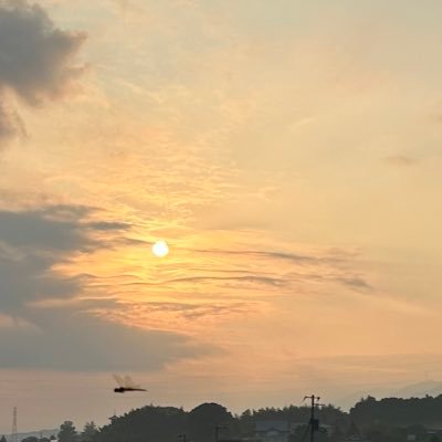 いわしさんのプロフィール画像