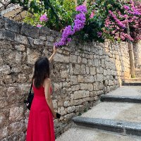 Vanessa Greco (@vgrec) 's Twitter Profile