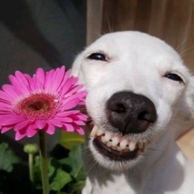 luvkeiko_'s profile picture. โลกไม่ต้องการความสงบ แคทเทอรีน ยิงมัน!