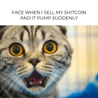 TIITU (@memesxcrypto) 's Twitter Profile Photo