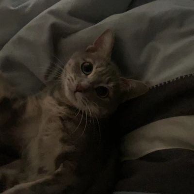 yanyan9950231's profile picture. 