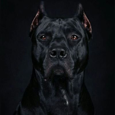 BrianLa98743672's profile picture. 