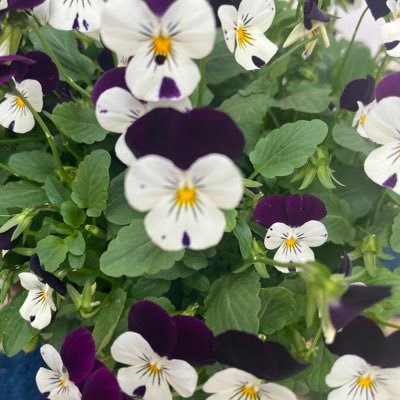 jlstg23's profile picture. 