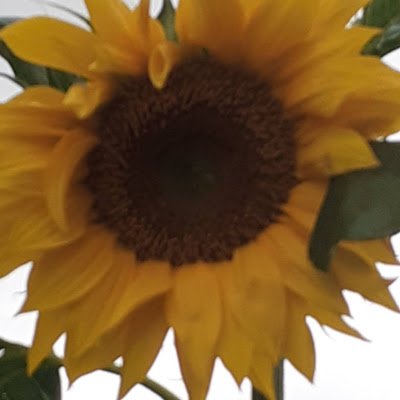 KellyClark3604's profile picture. 