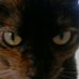 Feely (@maureengalliga3) Twitter profile photo